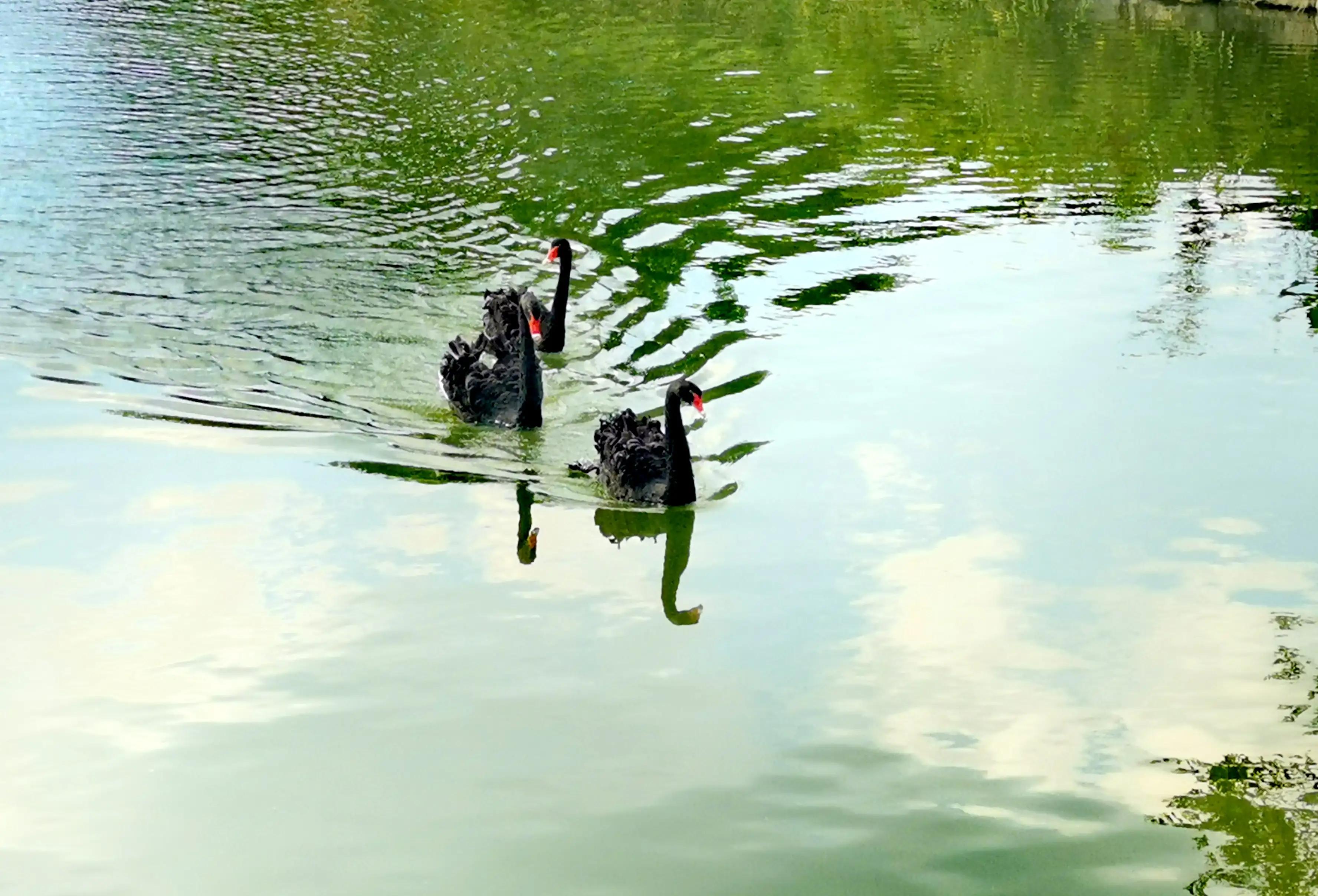 漳州市美丽的小镇,漳州长泰区旅游