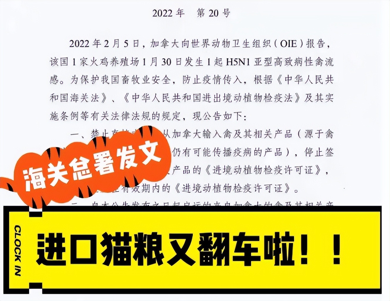 渴望猫粮苔原的好还是红肉的好,渴望猫粮是不是毒粮