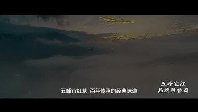 深化对口帮扶||五峰宜红茶:入选中国三大红茶之一究竟有何魅力?