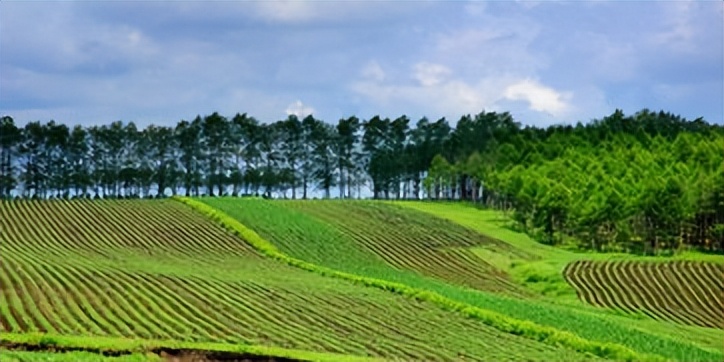 农业生态补偿意义,生态补偿促进农业产业化