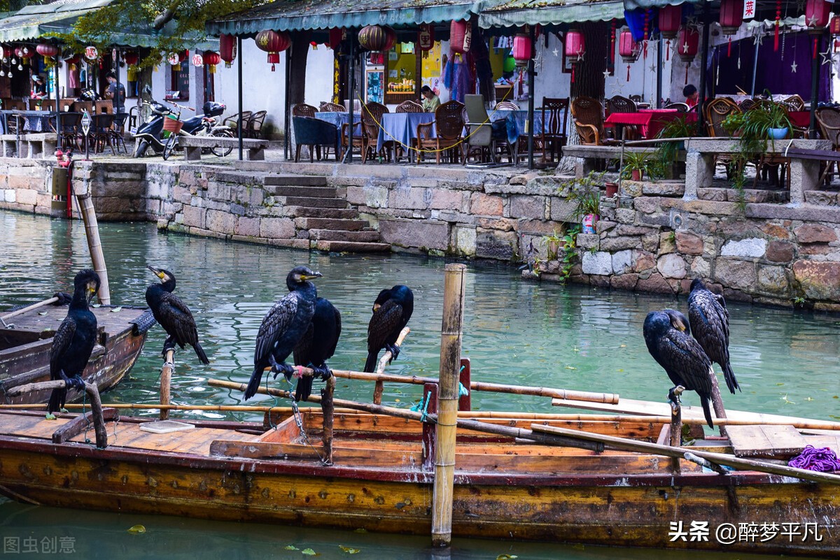 同里古镇是5a吗,江苏苏州同里古镇的照片