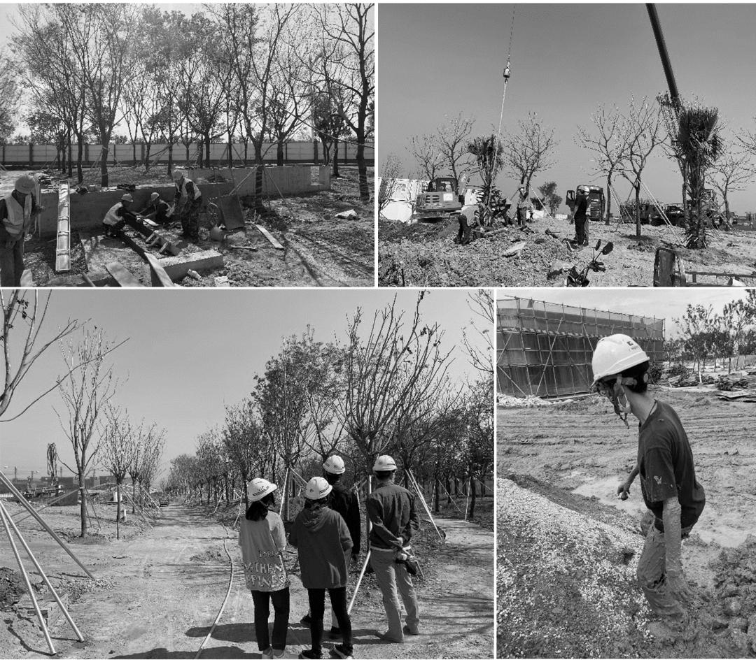 东莞滨海湾文体中心,东莞文体公园规划