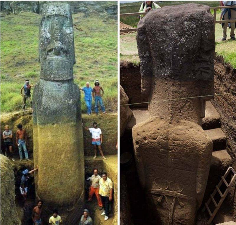 白色的心脏,火山灰覆盖的房屋,猫头鹰的大长腿,总有一张能震撼您