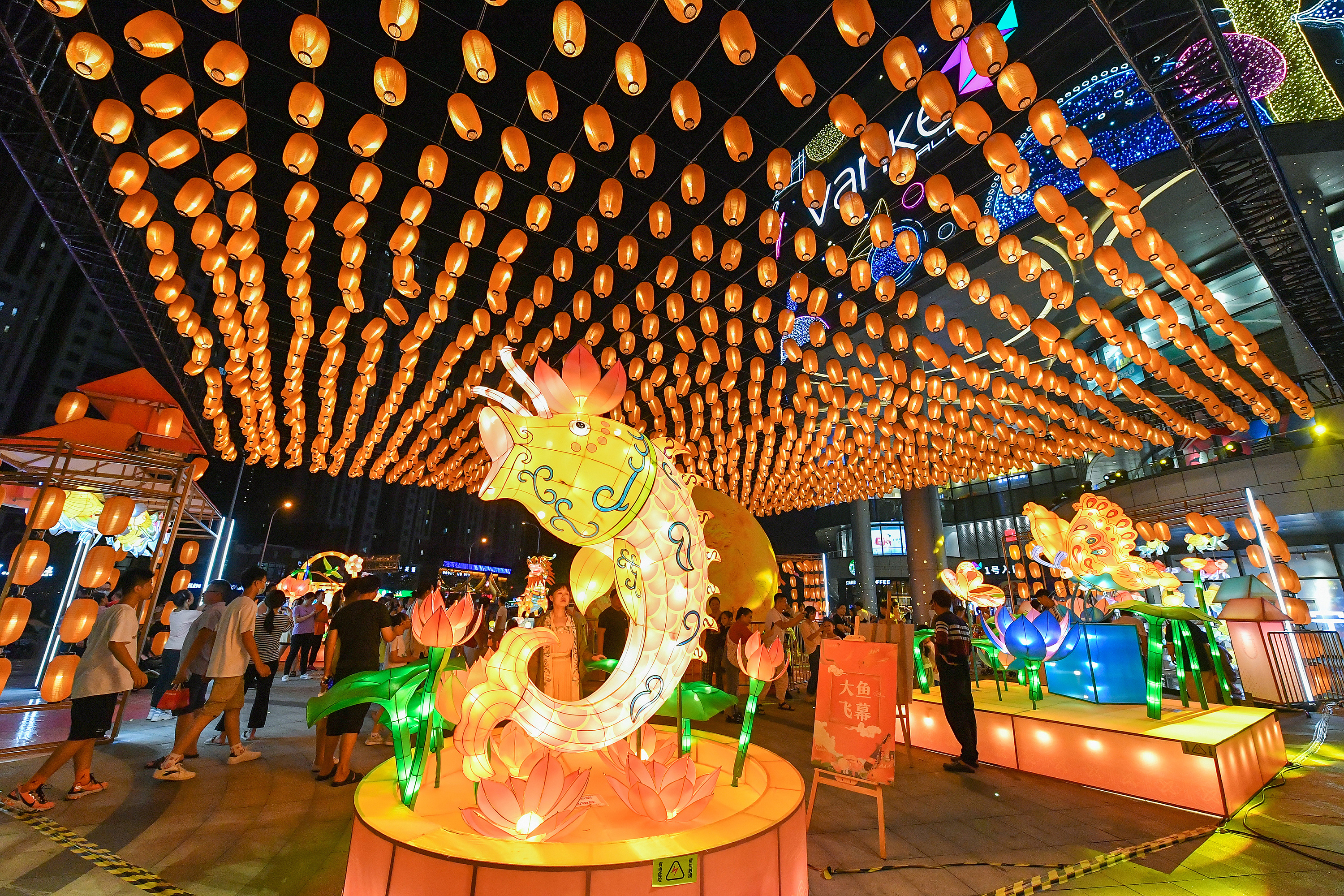 合肥和石家庄哪个城市比较好,合肥最有潜力的省会