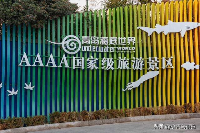 青岛西海岸旅游攻略最佳线路,从青岛出发4-5天旅游攻略