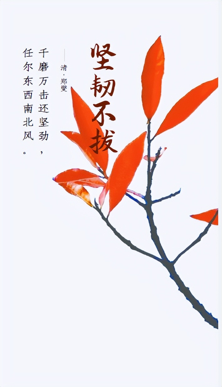 早安心语暖心句子正能量励志,早安心语正能量一句话简短图片