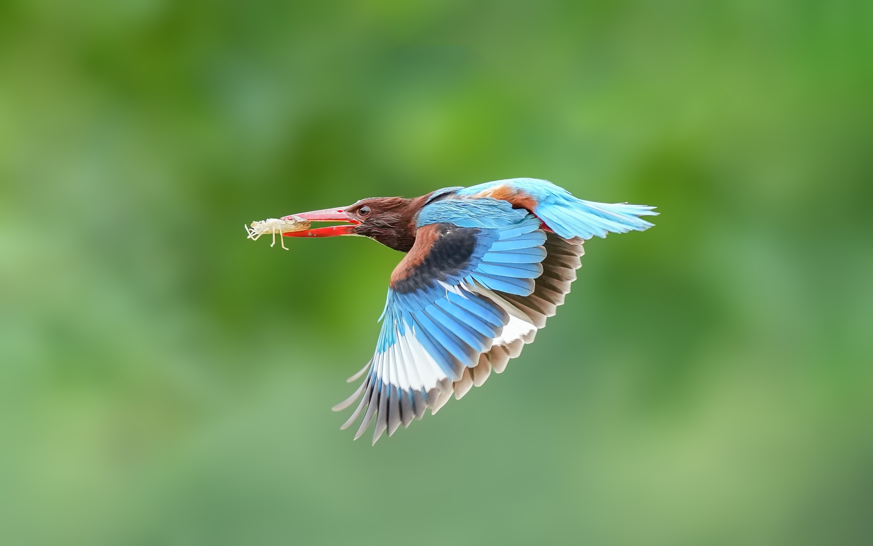 王者归来1-100级,索尼alpha1教程