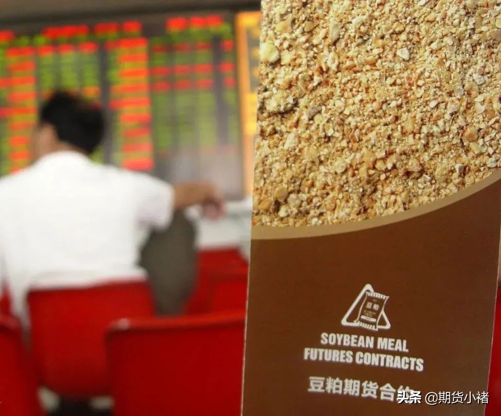 饲料企业提货放缓，豆粕库存提高，现货活跃，您还不敢买入？