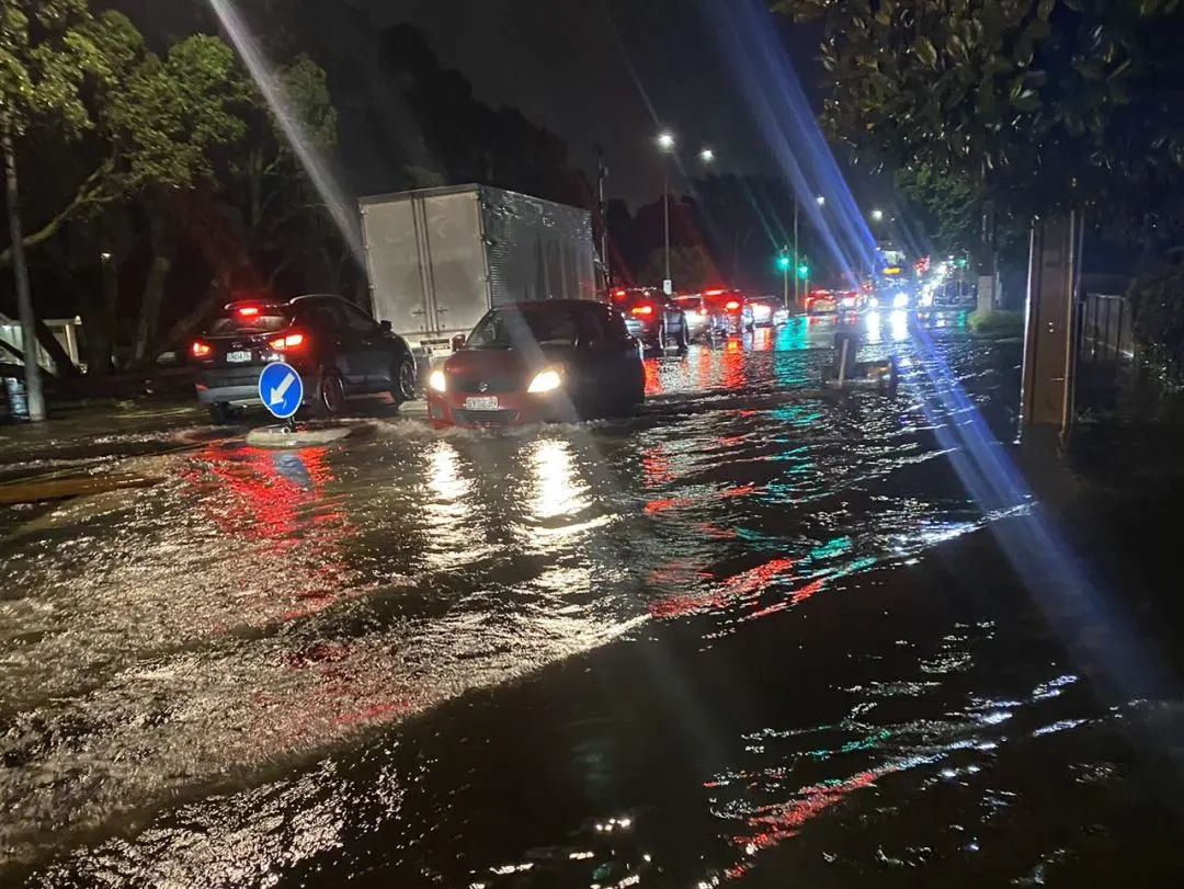 孙哥在新西兰:15岁退学,17岁生子,28岁出国,一小时挣200元