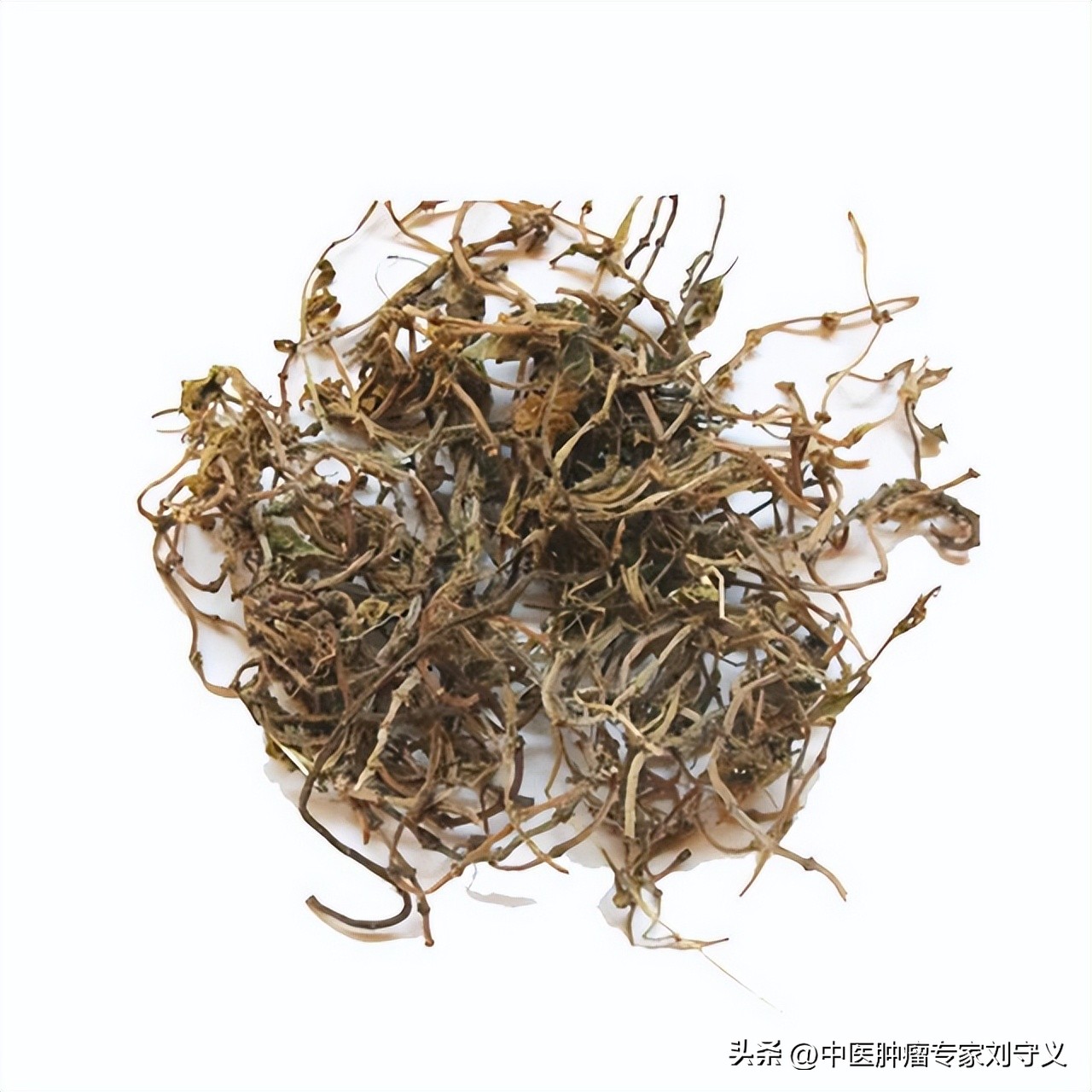 中华医药垂盆草的神奇功效与作用,垂盆草治癌症的吃法