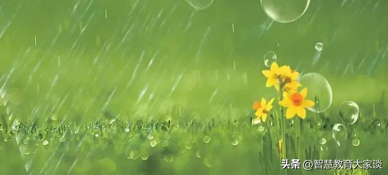 我眼中的高质量生活,我眼中的高顿教育