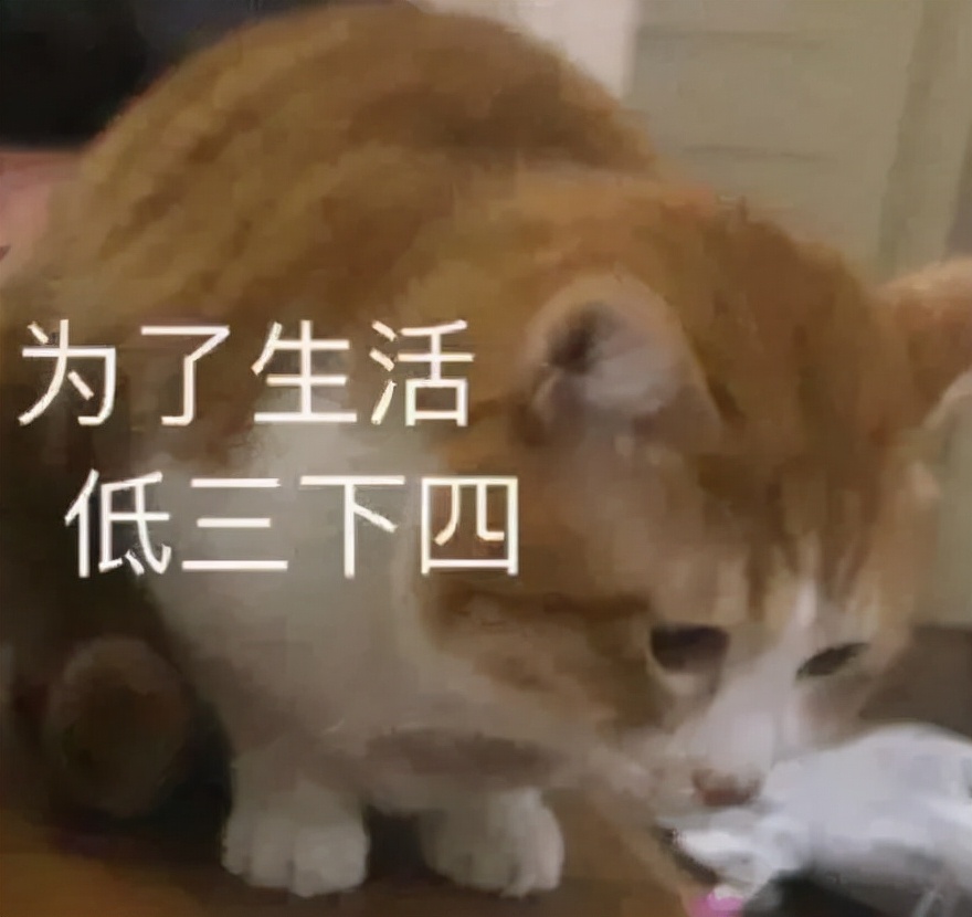 修图师把我的脸p歪了,修图师给你惊艳的照片