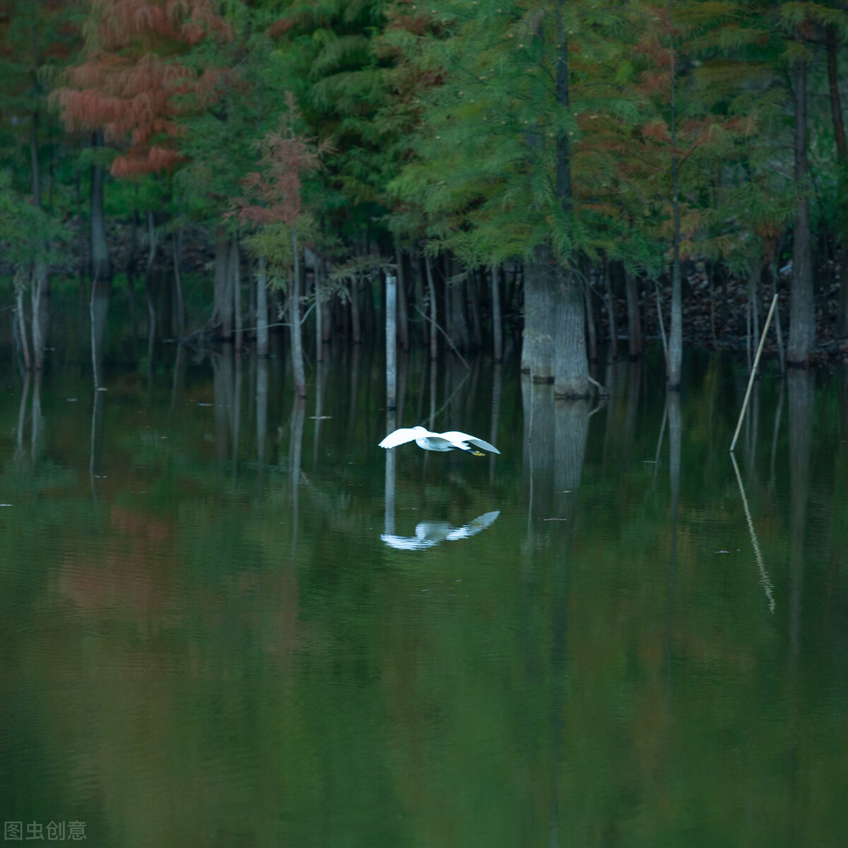 杭州余杭黄湖镇龙坞水库,杭州甘岭水库一日游攻略