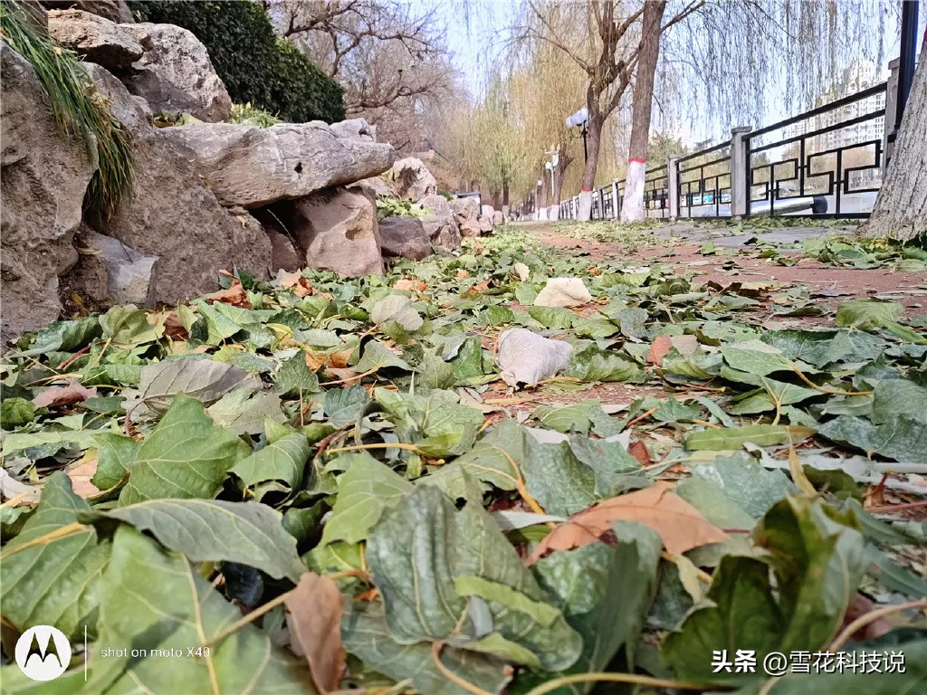 motox40实际上手体验,motox40真实缺点