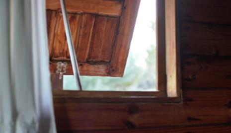 房间有蟑螂怎么彻底解决,房间有蟑螂怎么快速解决