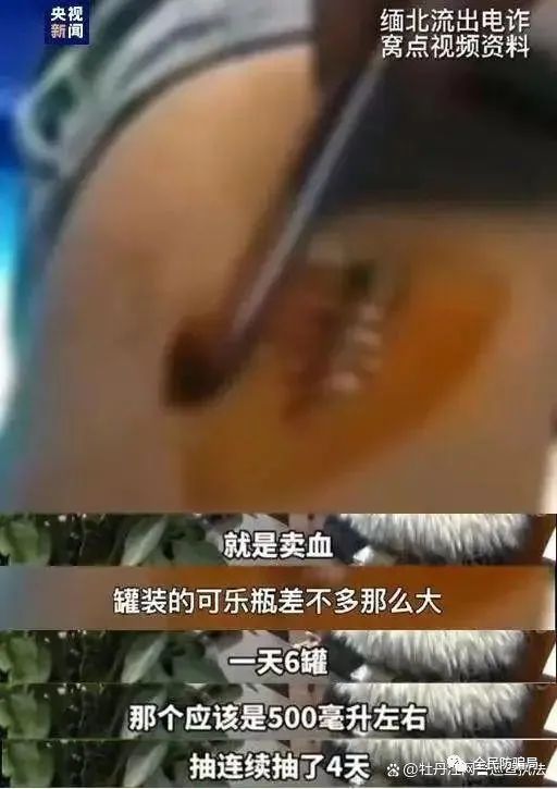 被骗卖淫真实案件,女人骗失足少女被反诈骗