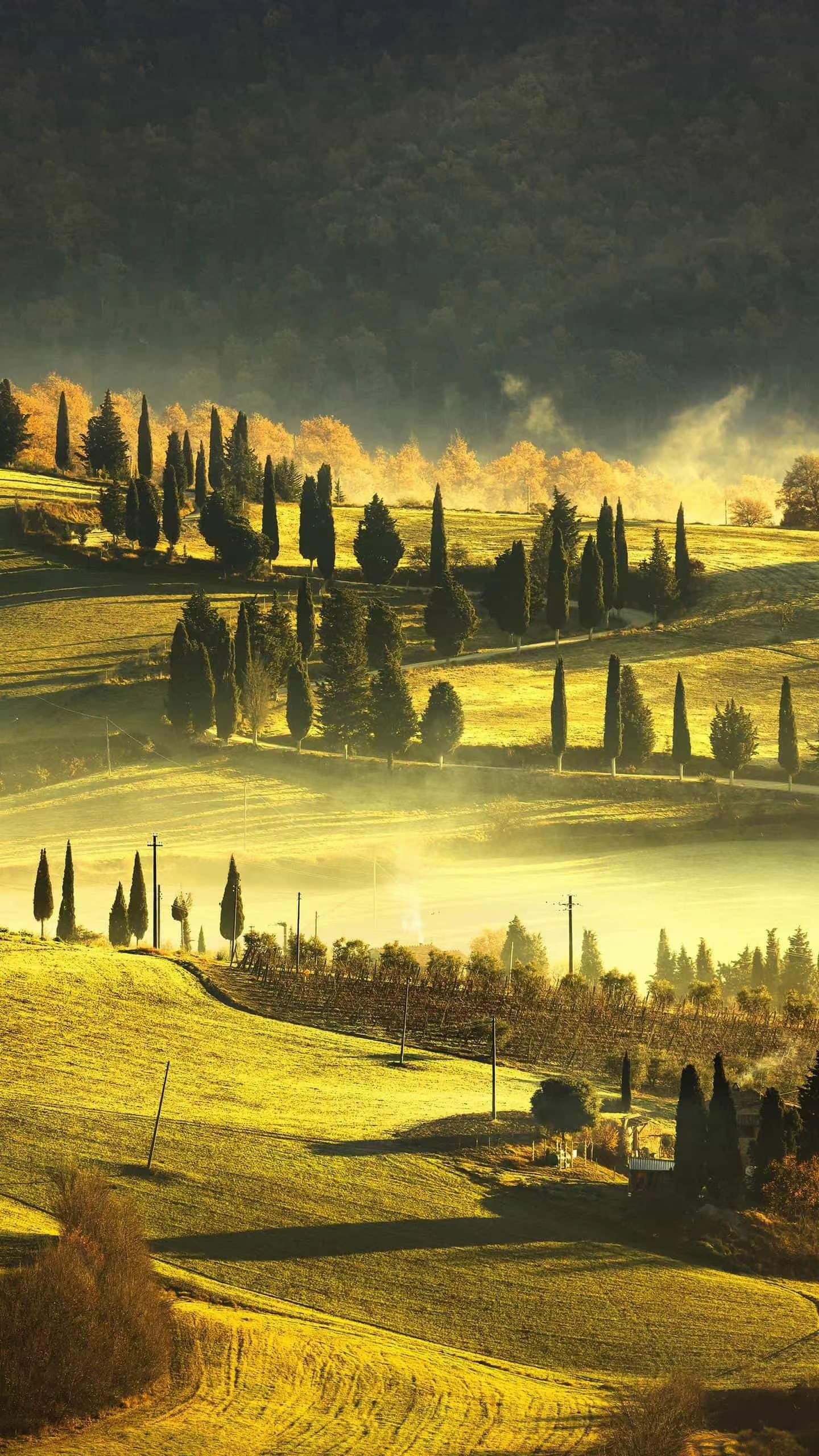 时势造英雄，当下做什么最赚钱