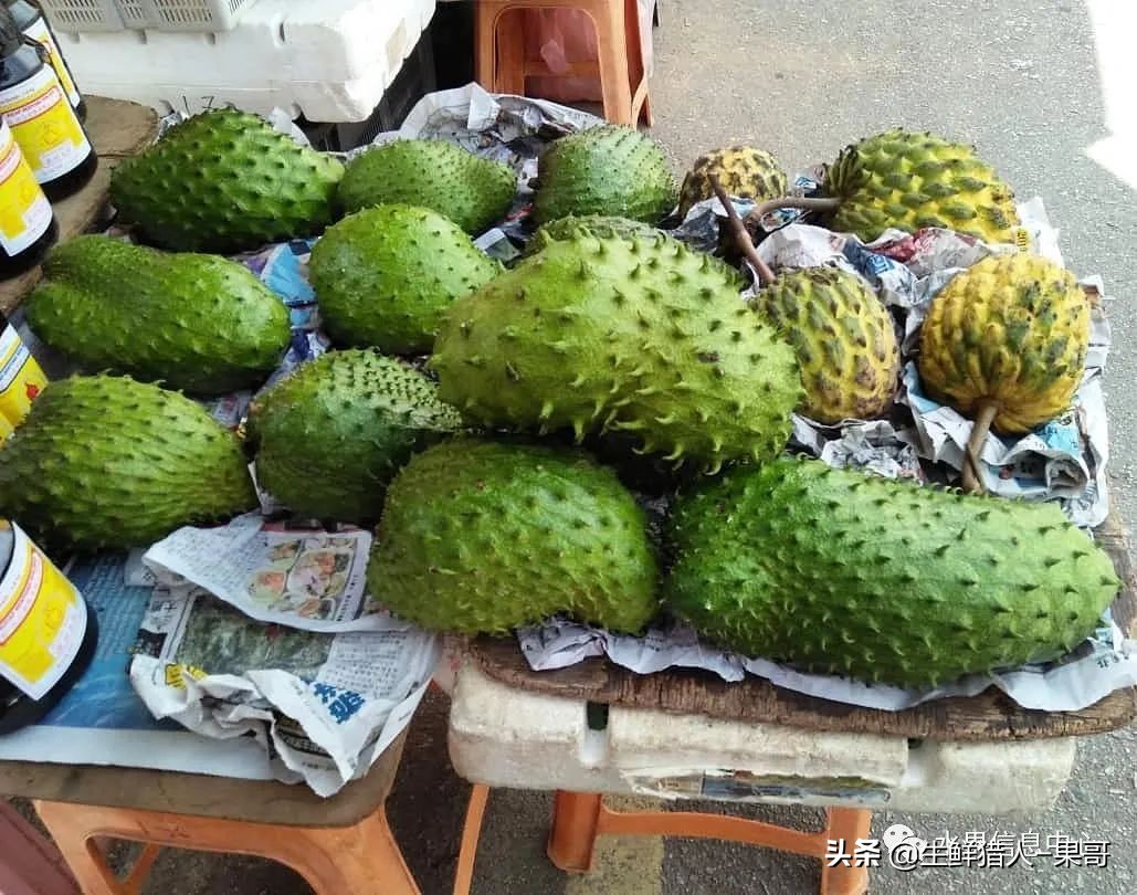 #奇异水果知多少#椰柿、黄晶果、冰淇淋果、巧克力布丁果等