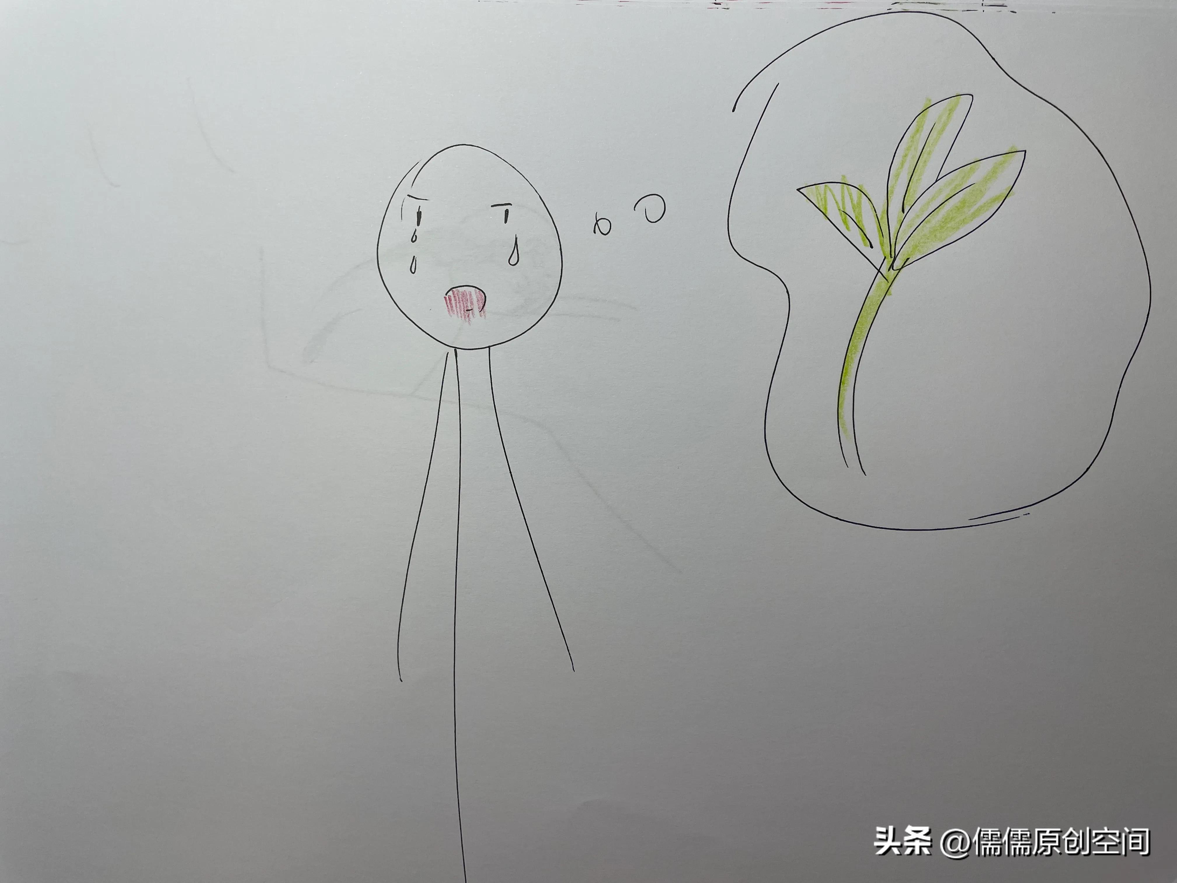 爱情的故事,花之恋的故事