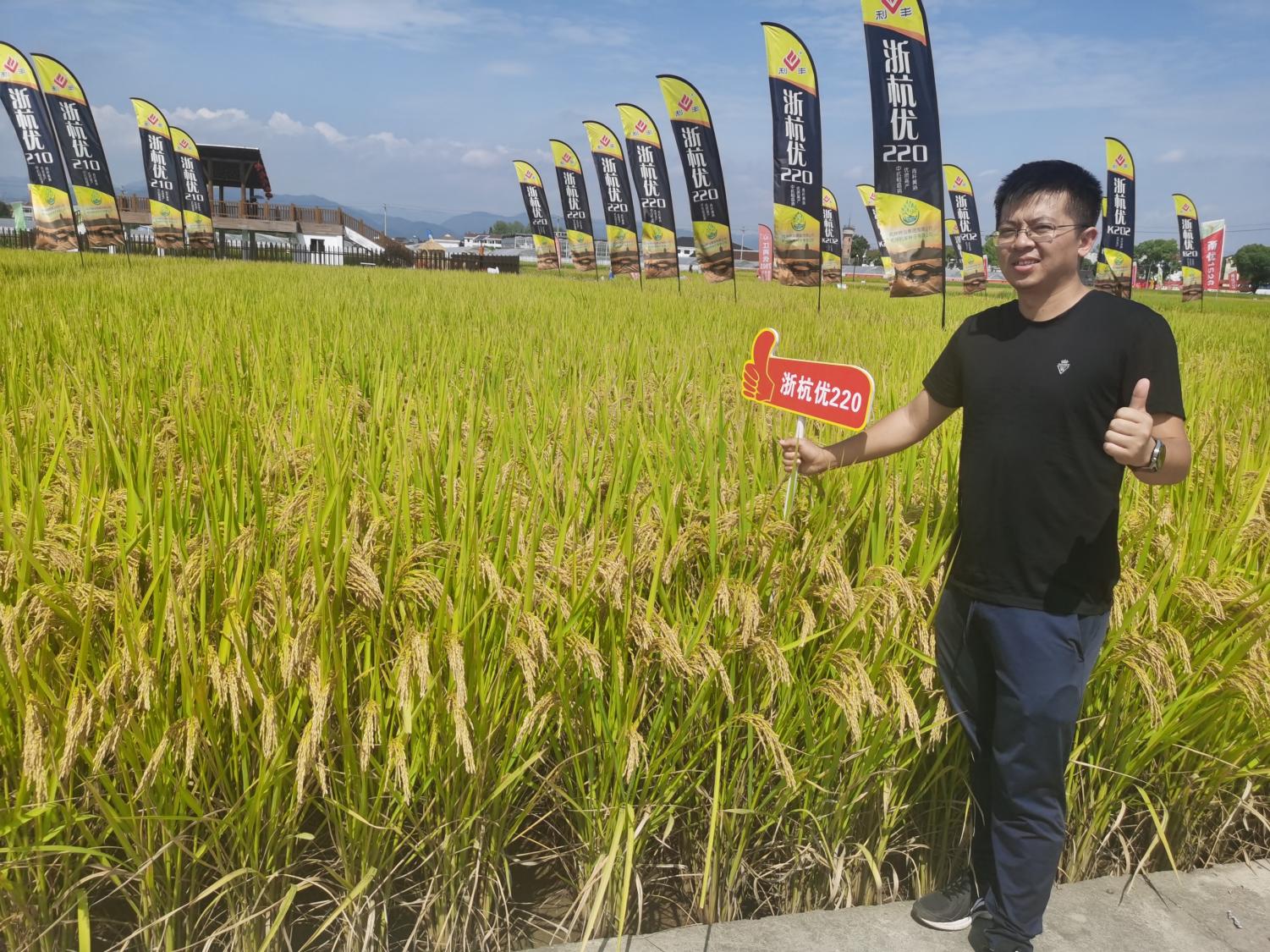 金色农华籼梗交新标杆、新升级——浙杭优220