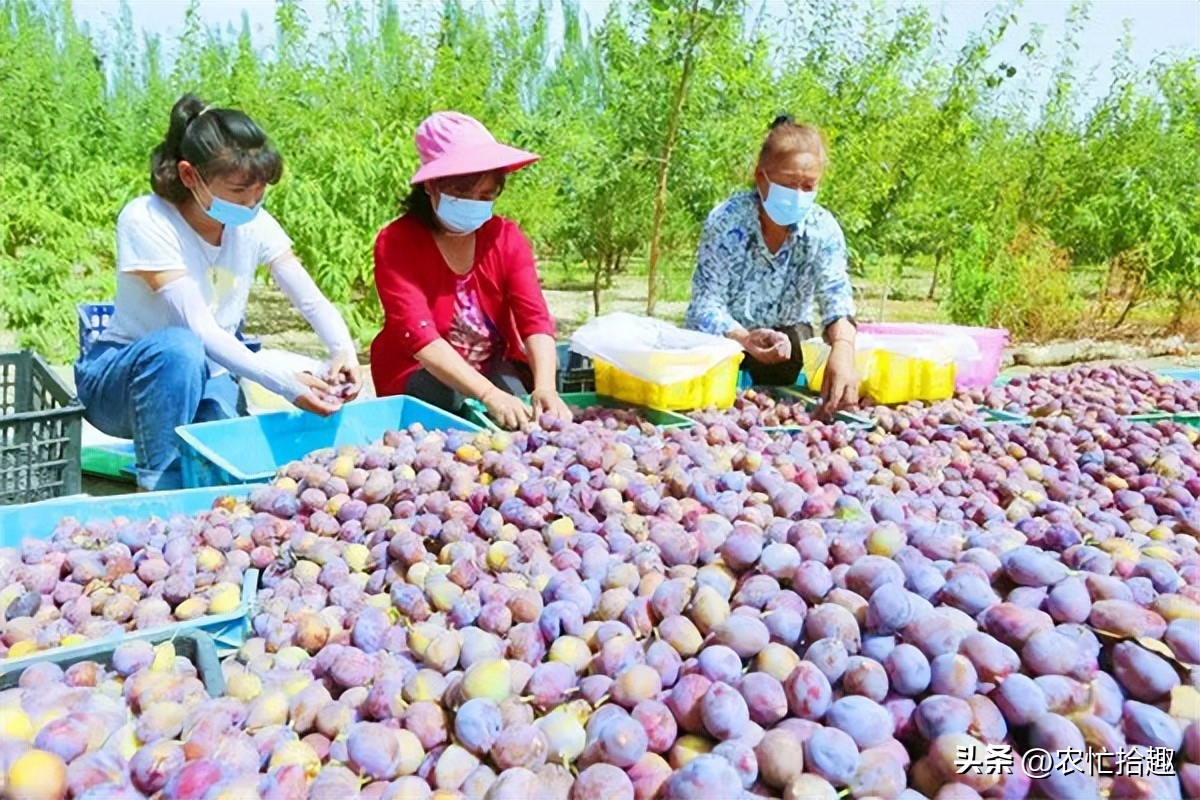 市场缺货蔬菜,市场长期缺货