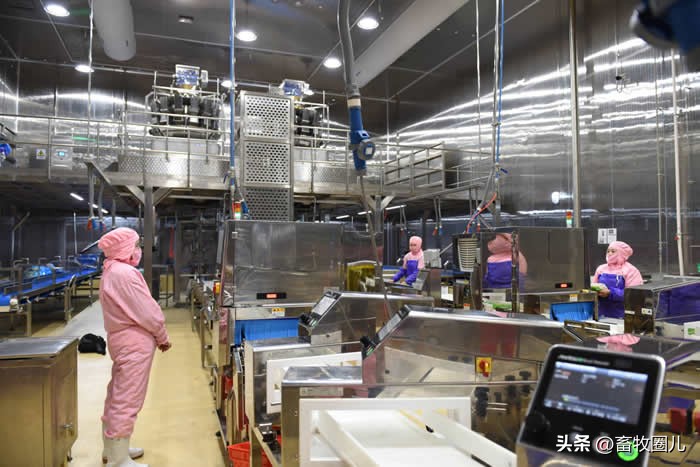 圣农集团千亿产业集群,圣农集团的党建学习