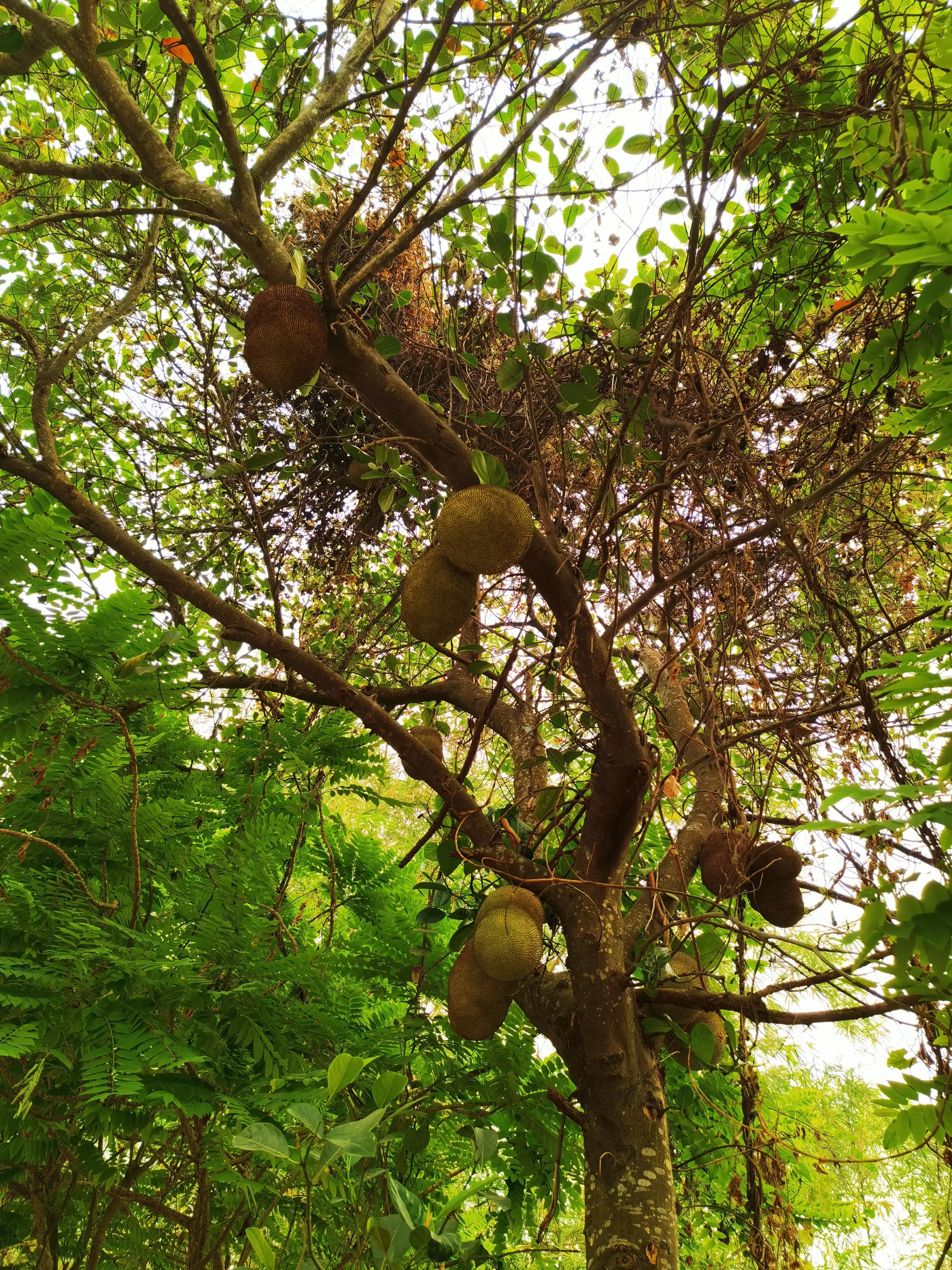 老挝自驾游奇遇,老挝越南自驾游攻略大全视频