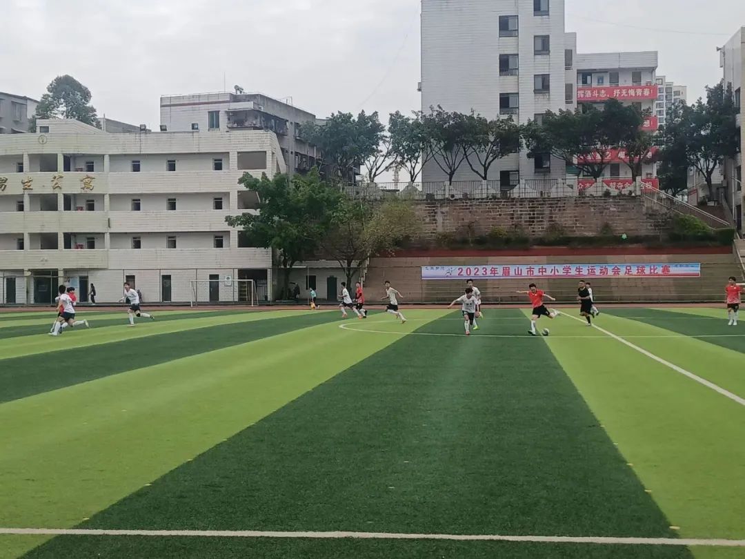 洪雅县小学足球比赛,眉山中小学生足球联赛