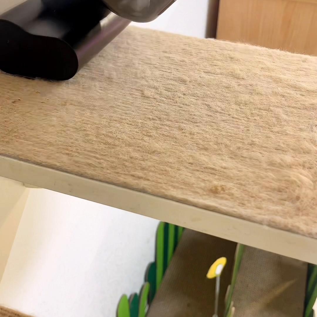 养猫好物大合集,养猫好物大全