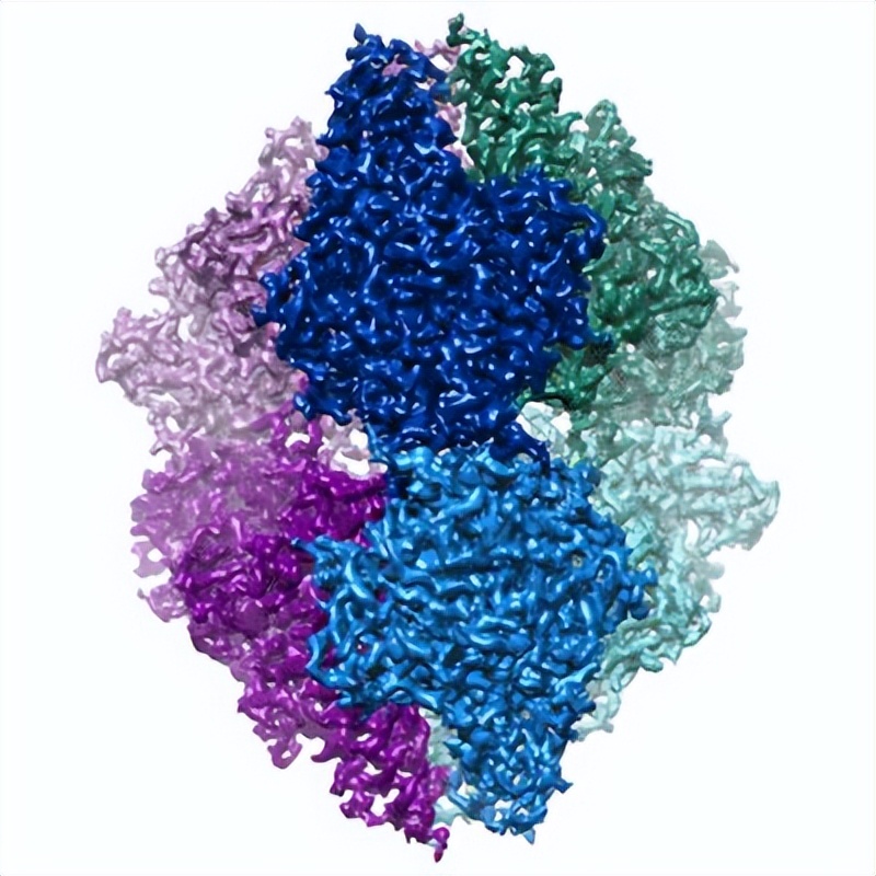 健身增肌好处的简介,锻炼和健身增肌的原理