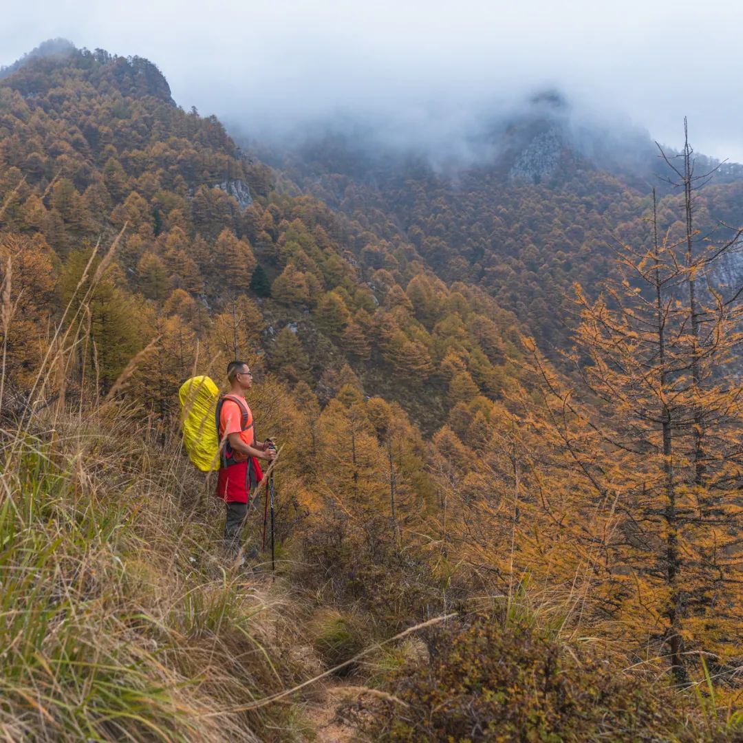 登太白山感受,太白山景区登顶拔仙台