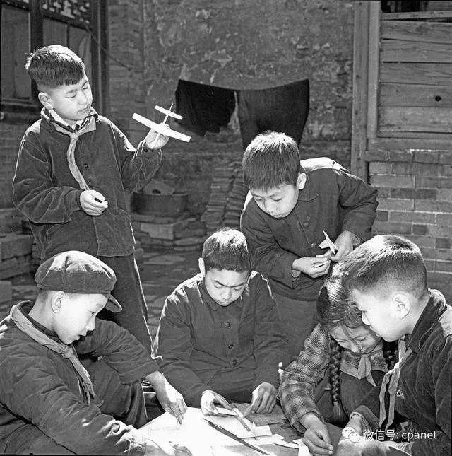 我的动物朋友小学四年级下200字,小学下大雨