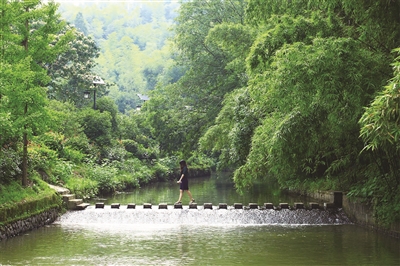 新登镇上山村：*党**建引领激活共富新动能