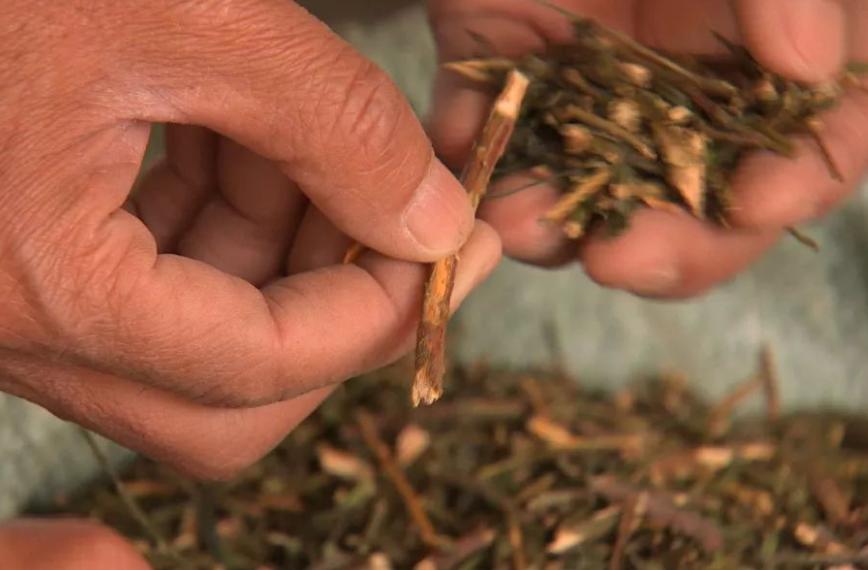 暴利工业废料变废为宝,九零后小伙收废品变废为宝