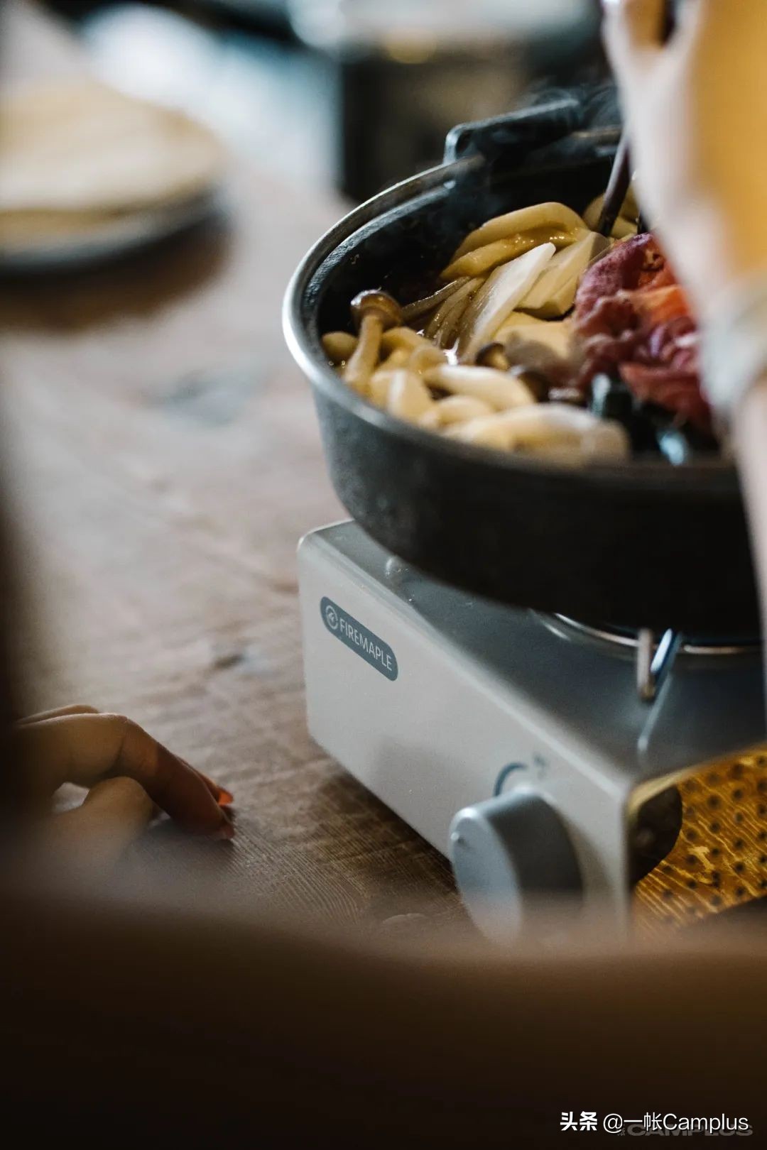 火枫现状,火枫近况