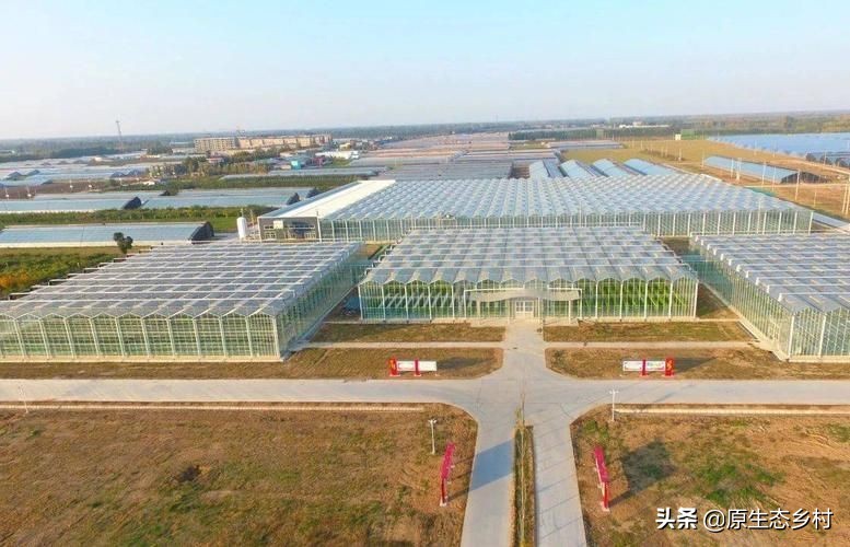 乌克兰粮食危机给我们的启示,乌克兰粮食背后资本