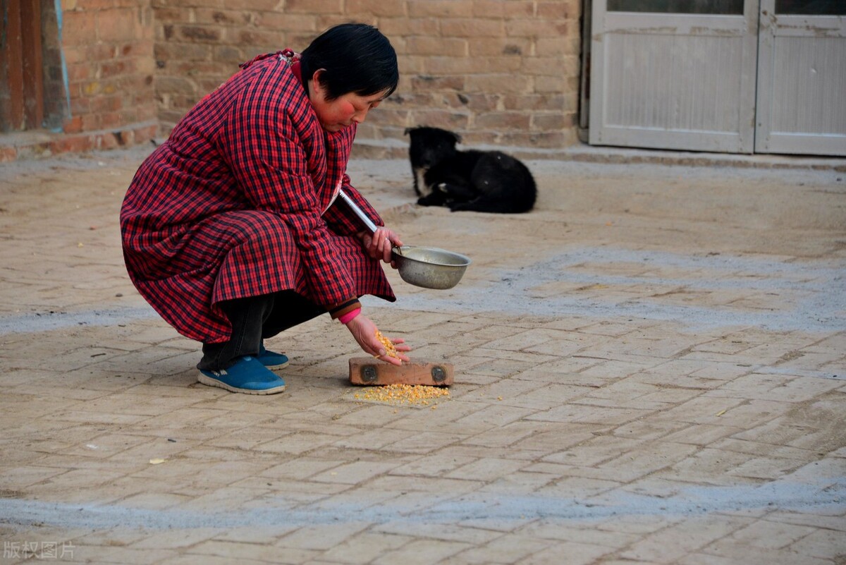 正月二十四，1藏、1迎、1打，五谷丰登，事事顺