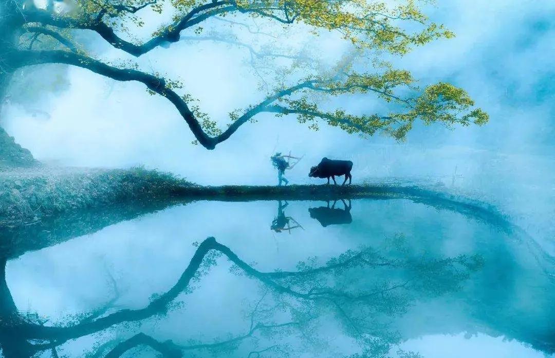 百家姓之齐姓氏,百家姓最新排名秦姓第几