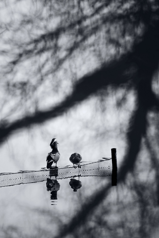 杭州四湖代表什么数字,最能代表新杭州的是什么