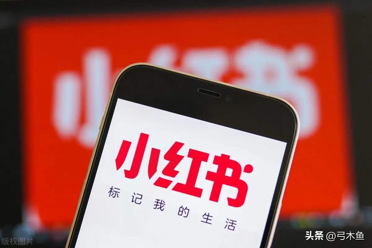 小红书如何推广拼多多店铺,小红书和拼多多哪个好