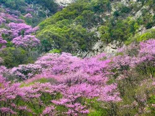 鄠邑区十大看点,鄠邑区第一中学在西安市排名