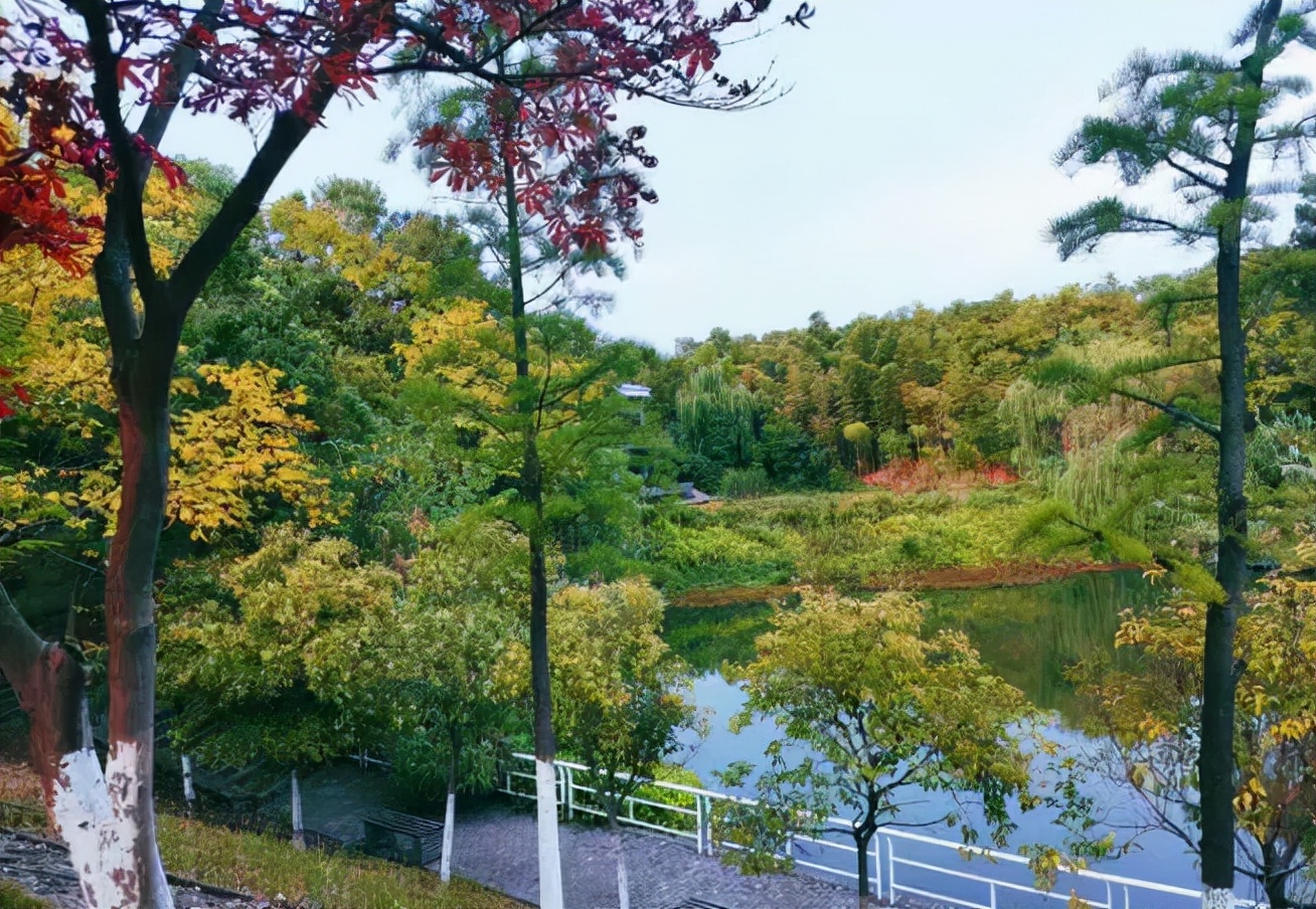 南京审计大学有3+2吗,南京审计大学学院排名