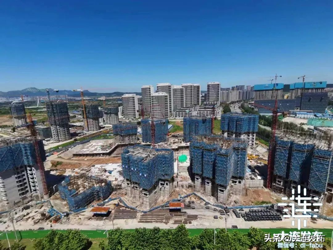 金普新区振兴突破,金普新区二季度集中签约开工