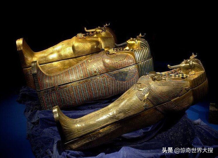 电鳗鳄鱼同归于尽,鳄鱼与电鳗同归于尽