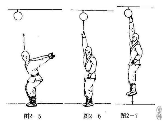 矮个子怎么长高最快,矮个子怎么长高