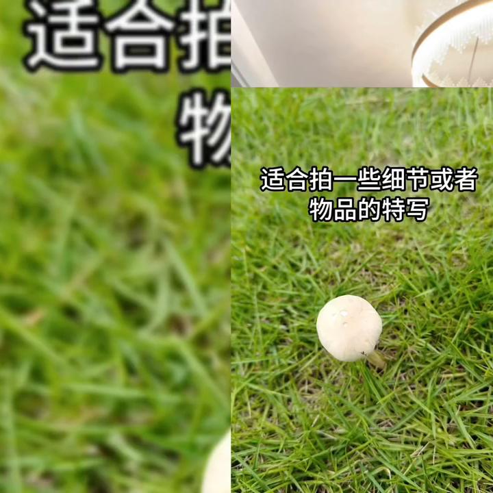 一加11和ace2pro哪个拍照好,一加ace2pro拍照实测