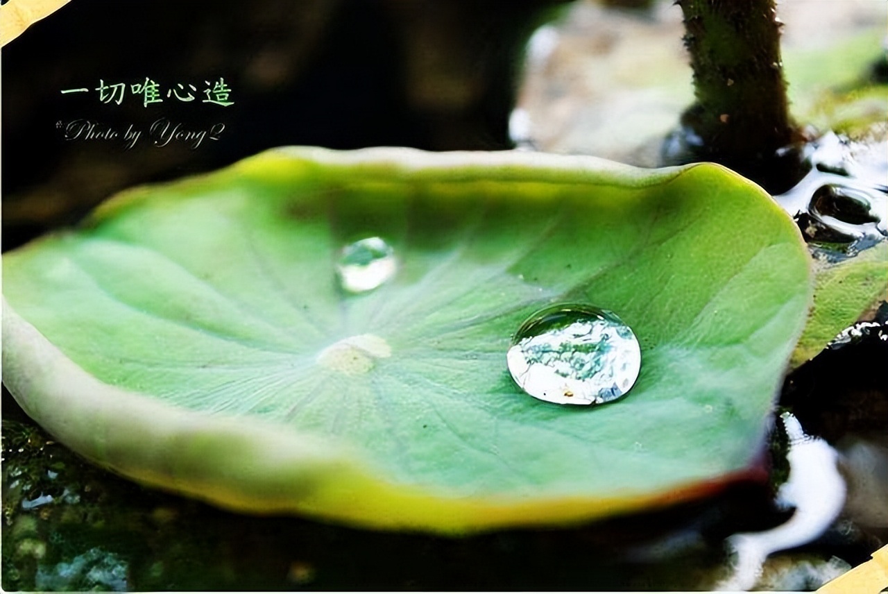 活在自己世界里的我们,活在自己的世界里又怎样