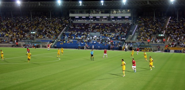 男子足球世界杯冠军,如果中国男足夺得世界杯会怎么样