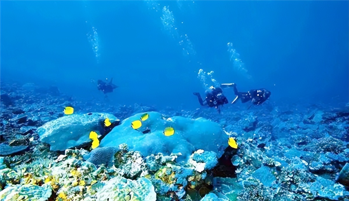 我国陆地最大的南海岛礁,走进我国南海重大岛礁