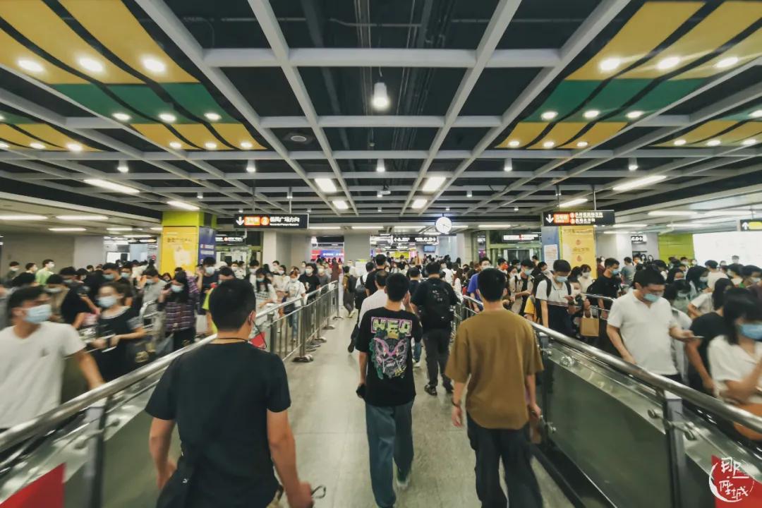 我在南极养企鹅,我在南极的日子